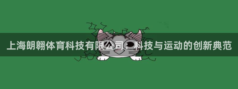 上海朗翱体育科技有限公司：科技与运动的创新典范