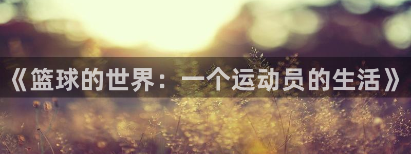 《篮球的世界：一个运动员的生活》