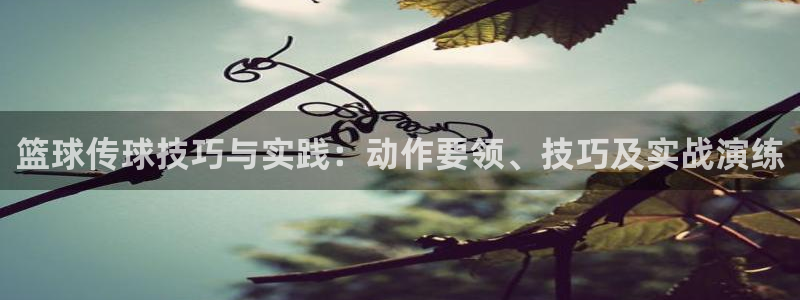篮球传球技巧与实践：动作要领、技巧及实战演练