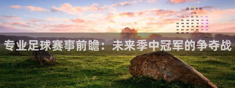 专业足球赛事前瞻：未来季中冠军的争夺战