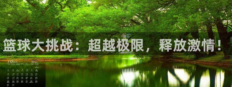 篮球大挑战：超越极限，释放激情！