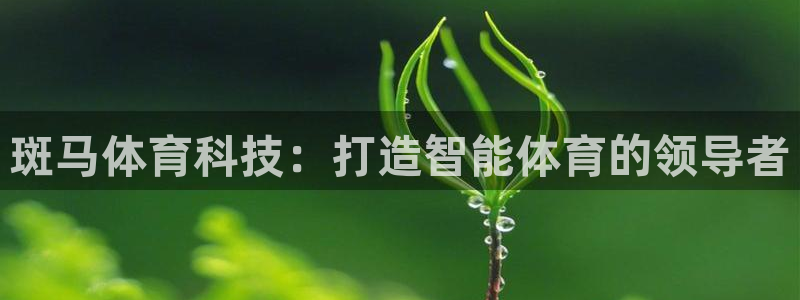 斑马体育科技：打造智能体育的领导者