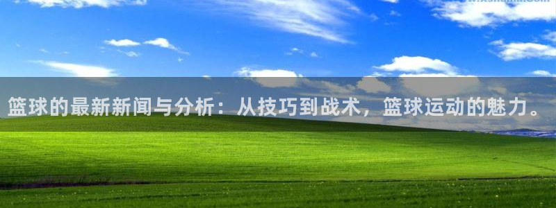 篮球的最新新闻与分析：从技巧到战术，篮球运动的魅力。