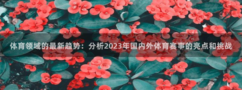 体育领域的最新趋势：分析2023年国内外体育赛事的亮点和挑战