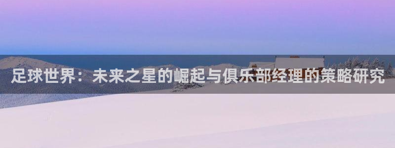 足球世界：未来之星的崛起与俱乐部经理的策略研究
