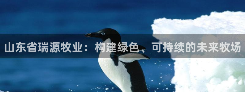 山东省瑞源牧业：构建绿色、可持续的未来牧场