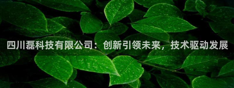 四川磊科技有限公司：创新引领未来，技术驱动发展