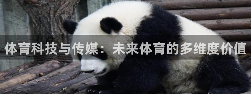 体育科技与传媒：未来体育的多维度价值