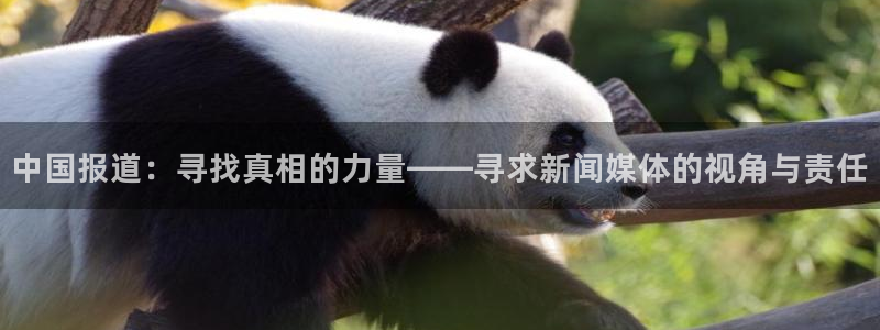 中国报道：寻找真相的力量——寻求新闻媒体的视角与责任