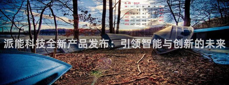 派能科技全新产品发布：引领智能与创新的未来