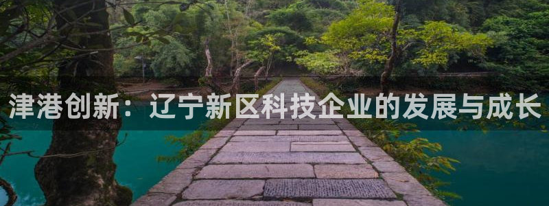 津港创新：辽宁新区科技企业的发展与成长