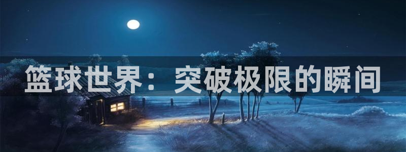 篮球世界：突破极限的瞬间