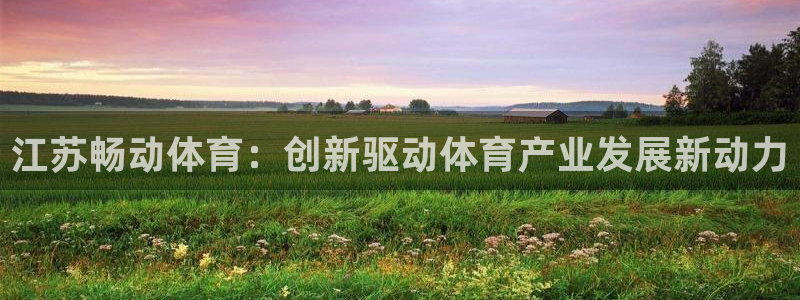 江苏畅动体育：创新驱动体育产业发展新动力