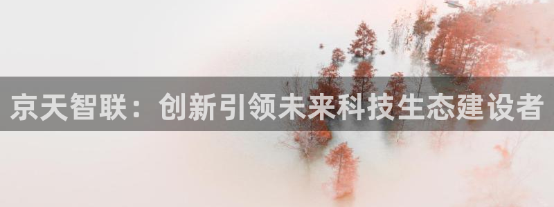 京天智联：创新引领未来科技生态建设者