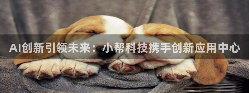 AI创新引领未来：小帮科技携手创新应用中心