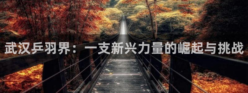 武汉乒羽界：一支新兴力量的崛起与挑战