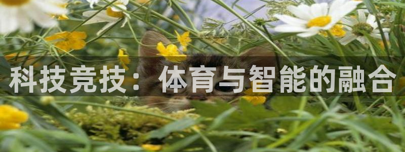 科技竞技：体育与智能的融合
