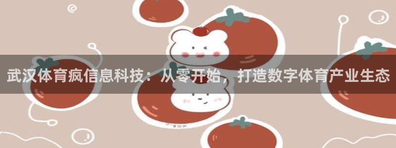 武汉体育疯信息科技：从零开始，打造数字体育产业生态
