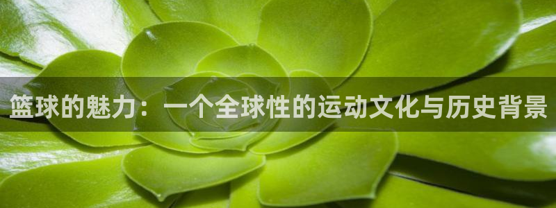 篮球的魅力：一个全球性的运动文化与历史背景