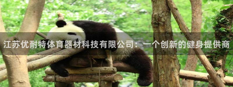 江苏优耐特体育器材科技有限公司：一个创新的健身提供商