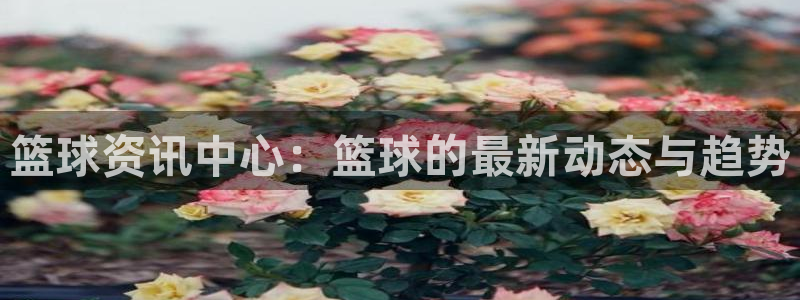 篮球资讯中心：篮球的最新动态与趋势