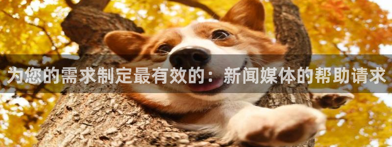 为您的需求制定最有效的：新闻媒体的帮助请求