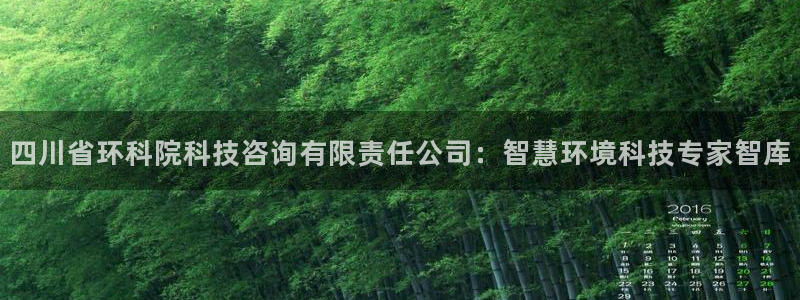 四川省环科院科技咨询有限责任公司：智慧环境科技专家智库